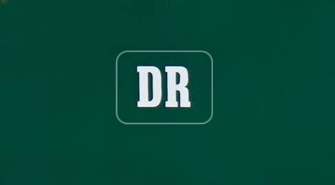 2 DR Aufkleber für Personenwagen, Hintergrund grün, Spur G