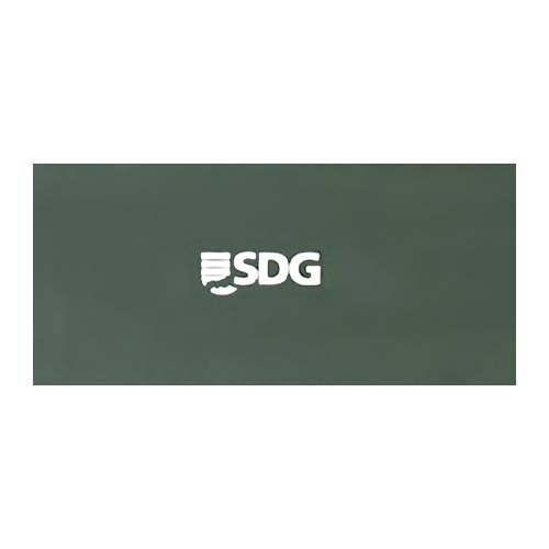 2 Aufkleber SDG mit grünem Hintergrund, für Personenwagen Spur G